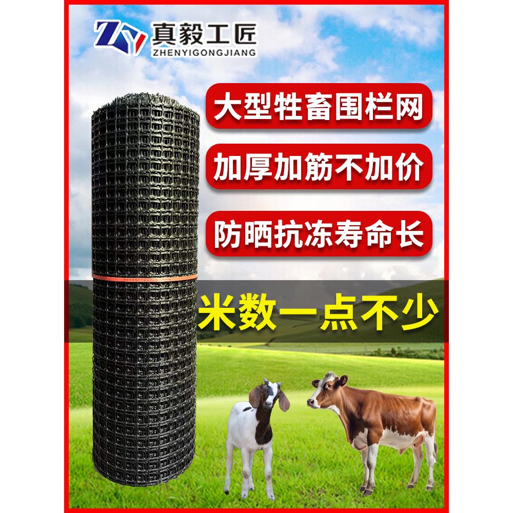 塑料围网养殖防护拦鸡鸭