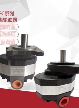 CB-FC40 CBFC50 泵齿轮泵油站液压油泵CBFC25 CBFC32 CBFC20  16