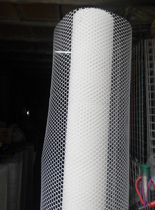 白色米宽塑料平网养殖阳