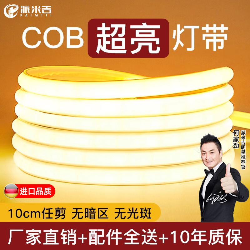 灯带220v自粘超亮led户外防水线形灯家用客厅吊顶工程COB软灯条