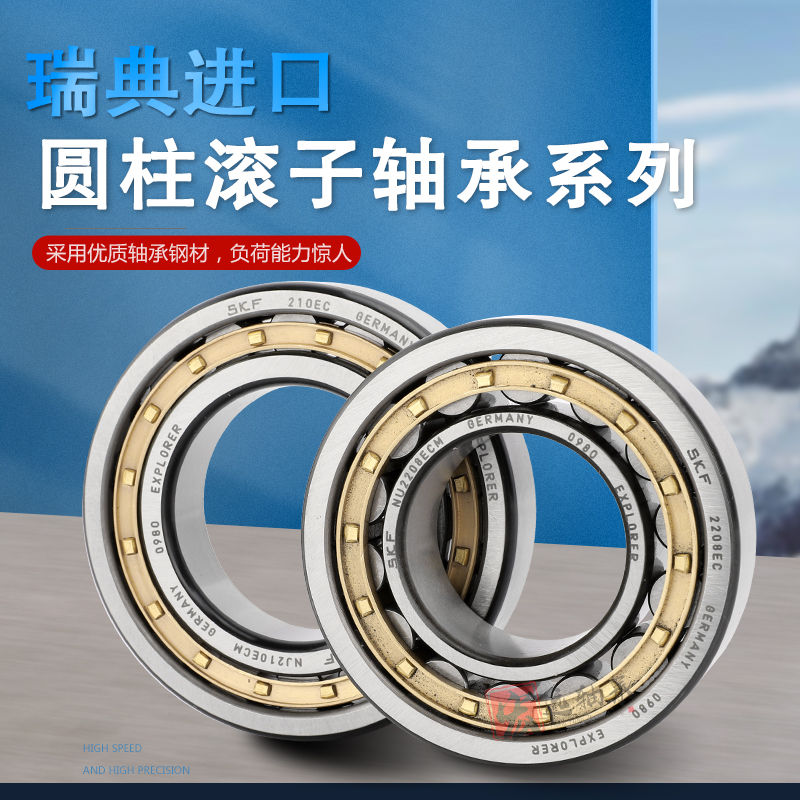 瑞典进口圆柱滚子轴承RN203 RN204  RN205 RN206 RN207 M EM ECM