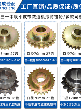 适用中联三一搅拌站平皮带减速机滚筒链轮SPD10014-11主机链轮AB