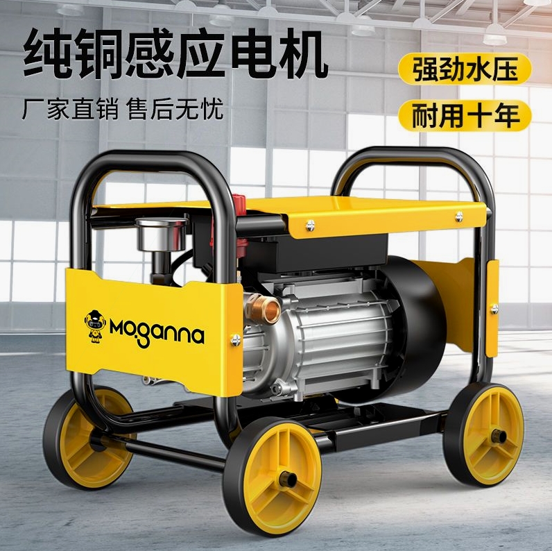 日本进口洗车机高压水泵