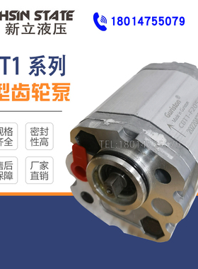 液压泵CBT1-F207.8/F206.8/F204.8/F204.2/F202.6/F205.8齿轮油泵
