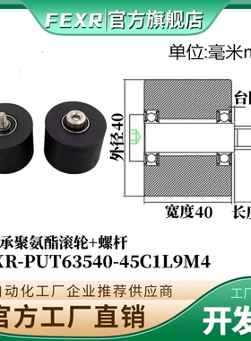 带螺杆聚氨酯双轴承滚轮PUT63540-45C1L9M4锂电池输送带悬臂滑轮