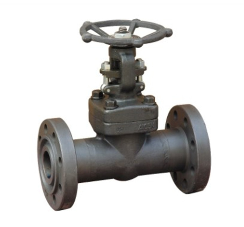 Z41H/Y-64/100 A105 高压锻钢锻打法兰闸阀DN15 20 25 32 40 50