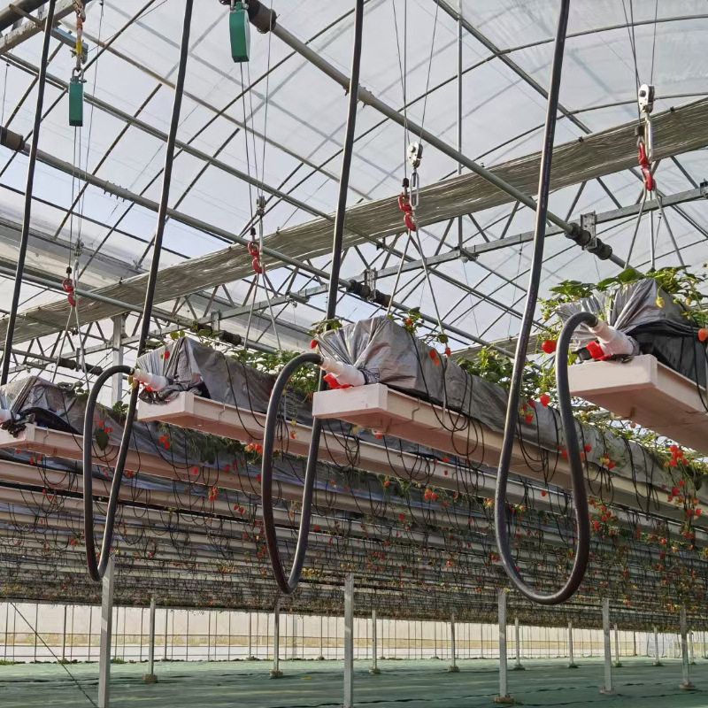 可升降基质种植槽蔬菜种植育苗槽空中无土栽培种植槽高架草莓槽