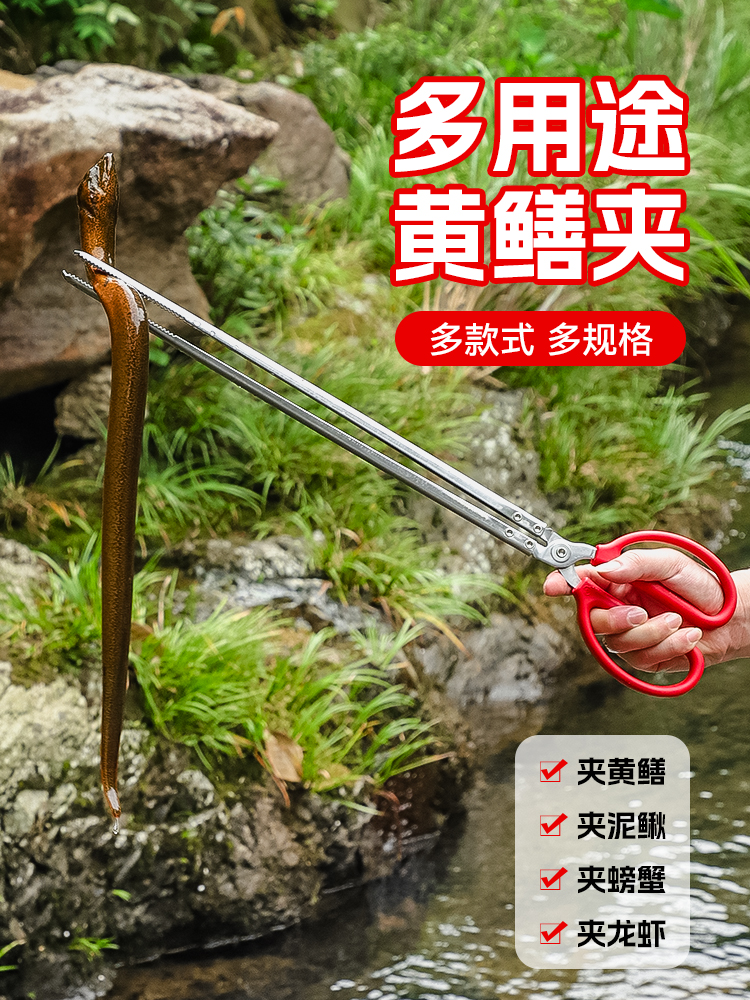 泥鳅黄鳝夹鱼不锈钢钳子