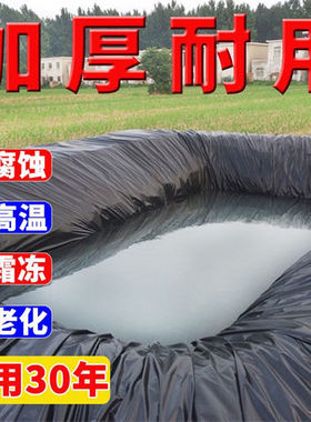 鱼塘防渗膜土工膜防水布蓄水池藕池防渗水护坡防漏专用黑色塑料布