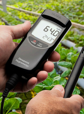 HANNA哈纳 温湿度计高精度HI9565便携式温湿度/露点测定仪 湿度仪