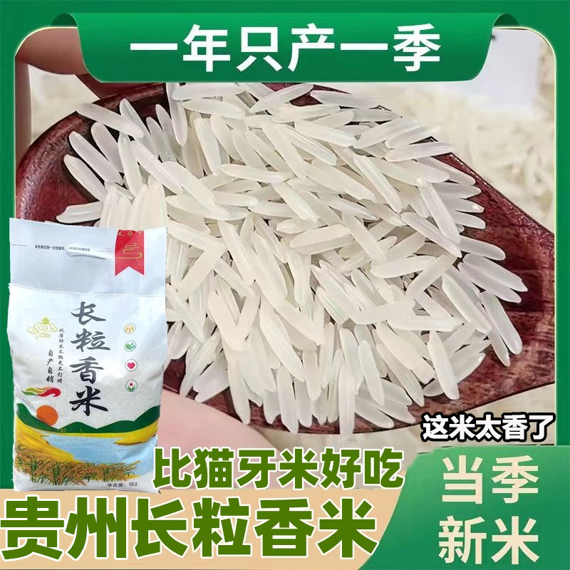 大米2024年新米贵州梯田长粒香米官方旗舰店10斤装农家软糯猫牙米