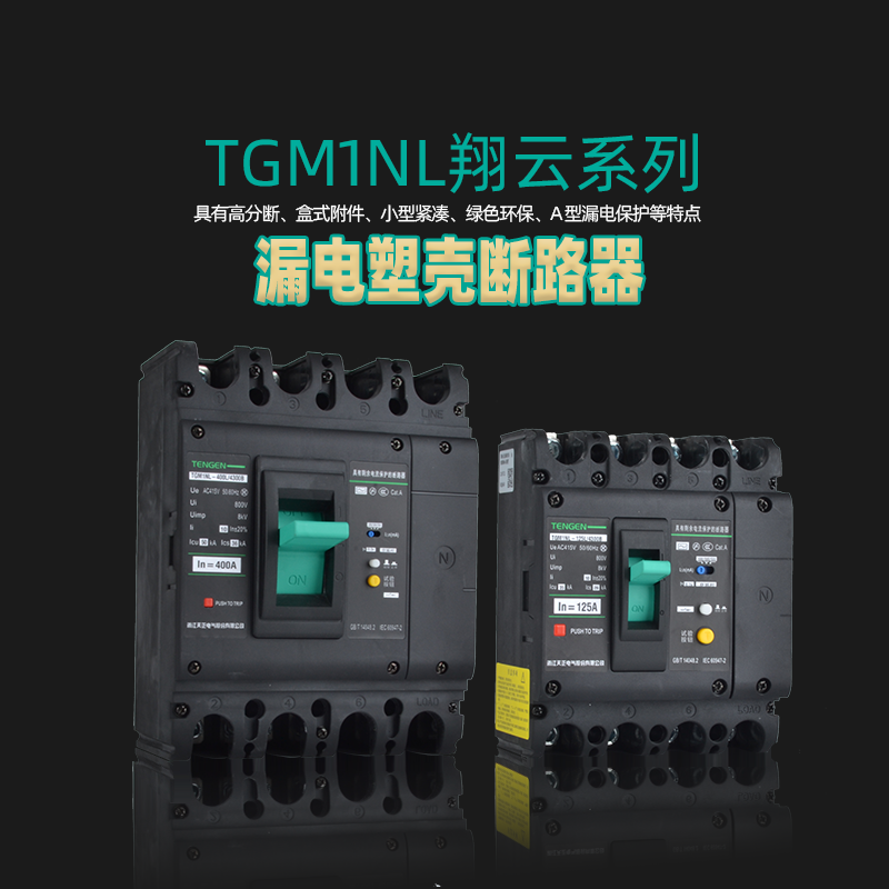 天正电气塑壳漏电保护断路器TGM1NLE-63 125 400A3P+N4P380V三相