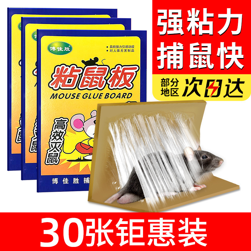 厂家生产供应粘鼠板老贴