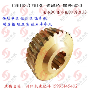 铜蜗轮6020 大连 CW6180溜板箱走刀 安阳CW6163 Z30涡轮 沈阳机床