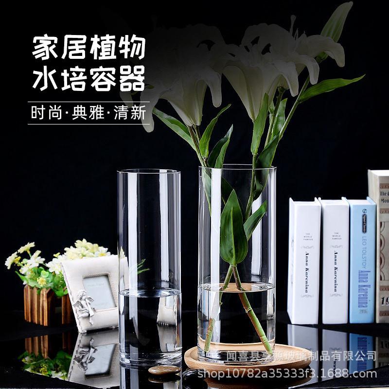 特大号花瓶简约玻璃透明落地摆件客厅餐桌水竹富贵竹干花插花60cm
