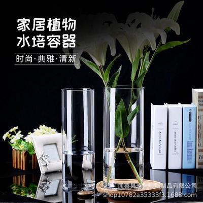 特大号花瓶简约玻璃透明