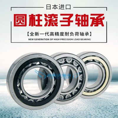 NSK轴承NJ2304 2305 2306 2307 2308 2309 2310 2311 2312 2313EM