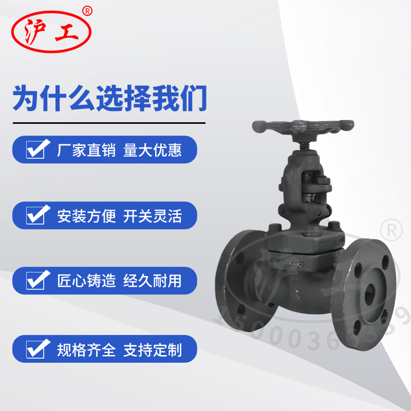 上海沪工良锻钢碳法兰闸