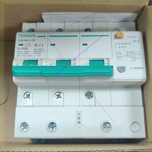 30个非实价议 非实价议价议价天正TGB1NLE 125 3P漏电断路器 全新