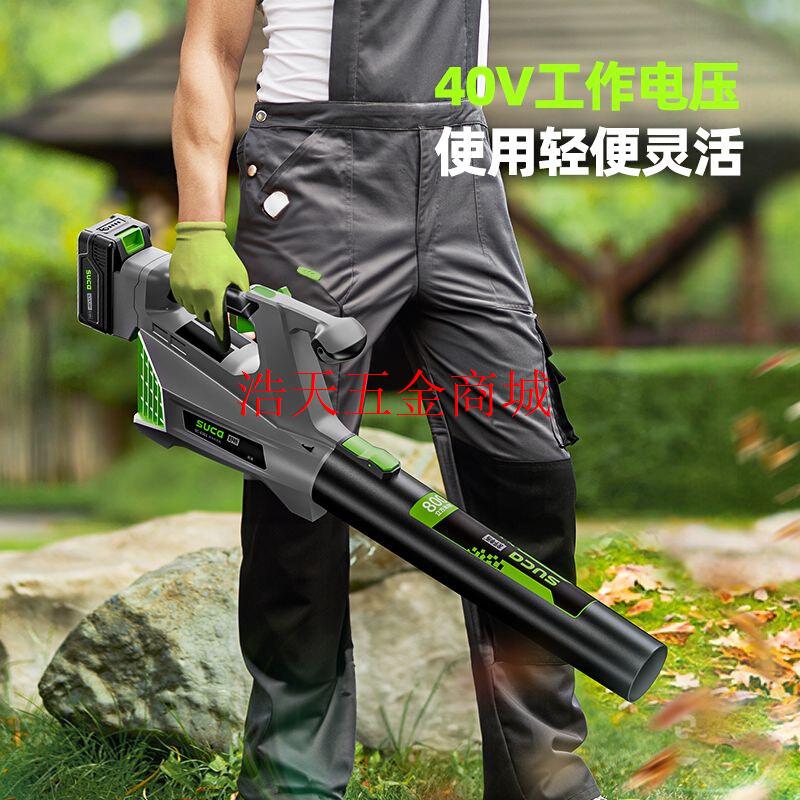 电动吹风机大功率灰尘神