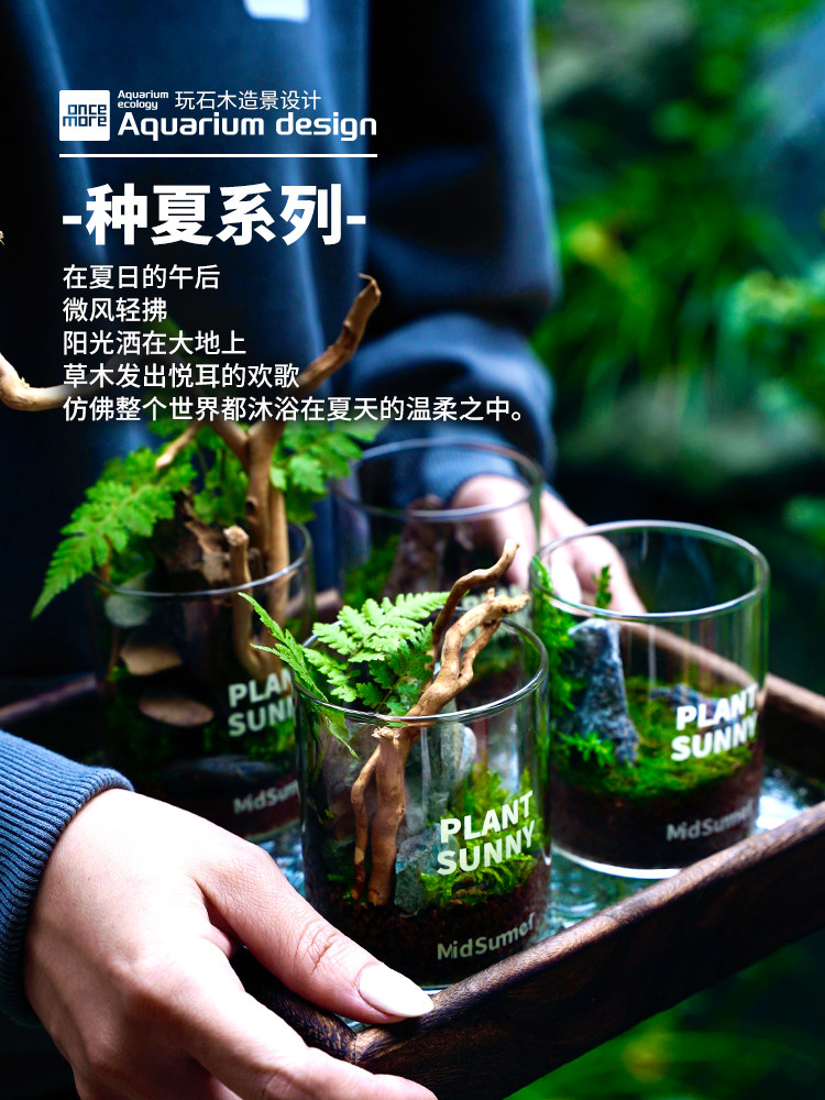 DIY水晶苔藓微景观办公室懒人绿植套装亲子学堂手作活动伴手礼,标准件/零部件/工业耗材,输送带/传送带,淘宝优惠券,粉丝福利购,淘宝优惠卷