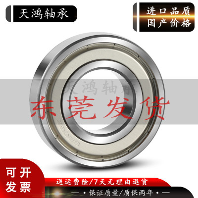 天鸿轴承6900 62900 63900 6901 6902 6903 6904 6905 6906 6907Z