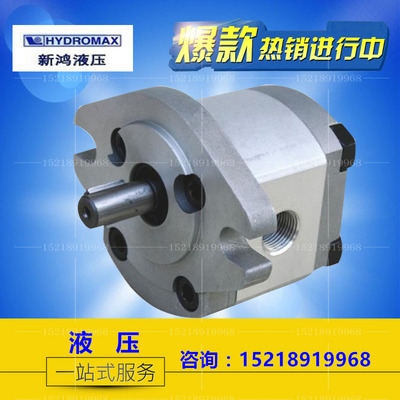 HYDROMAX 原装台湾新鸿 齿轮泵 HGP-1A-F1R/F2R/F3R/F4R/F5R/F6R