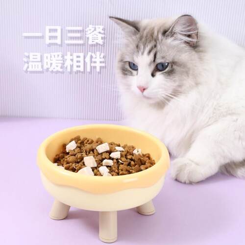 猫碗甜圈食盆防打翻喝水