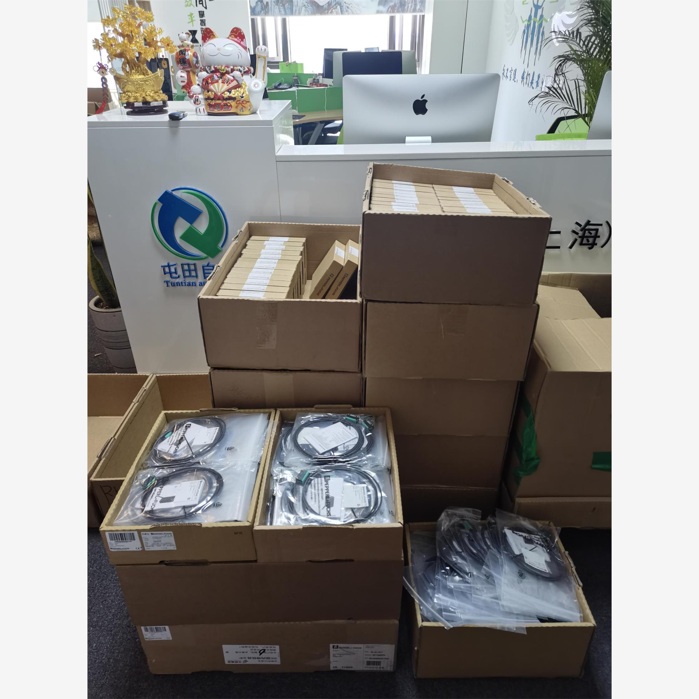 德国倍加福库存现货正品传感器-执行器缆线母头连接器 V31-WM-2M-