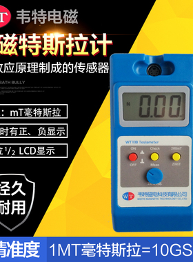 韦特高斯计WT10A WT10B WT10C WT10D WT10E WT10F 表面磁场测试仪