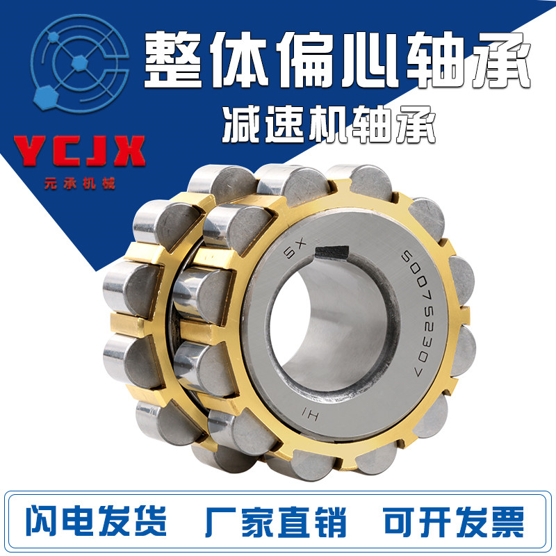减速机整体偏心轴承50752307 80752307 90752307 100752307