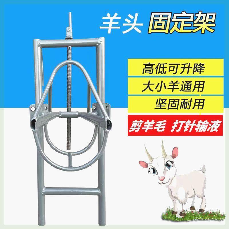 羊头固定架剪羊毛架子新款打针挤奶修蹄推毛万能型支架升降固定套