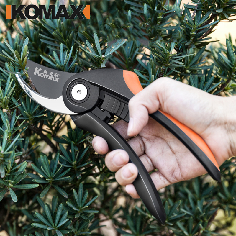 德国园林剪刀修果树枝艺