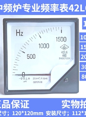 中频炉专用频率表赫兹表42L6-2000 1500 3000 4000 8000HZ/100V