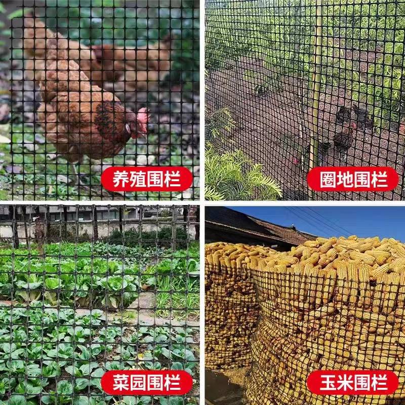 塑料围网养殖防护拦鸡鸭