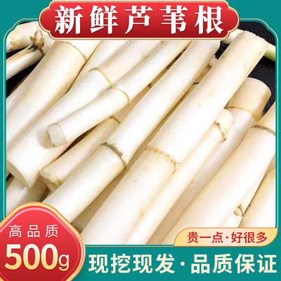 新鲜芦苇根500g克藕节芦根汤小儿流鼻血芦根中药鲜芦根白茅根汤包