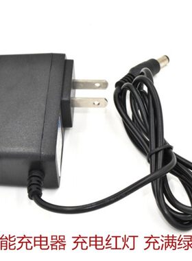 通用伊旦迈志高TCL扫地机器车载吸尘器RS9电源7.4V8.4V9V1A充电器