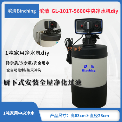 滨清GL-1017-5600-FT 中央净水机/1吨/厨下式/全自动/家用过滤器