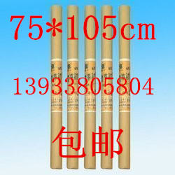 张计算纸桔红色方格坐标