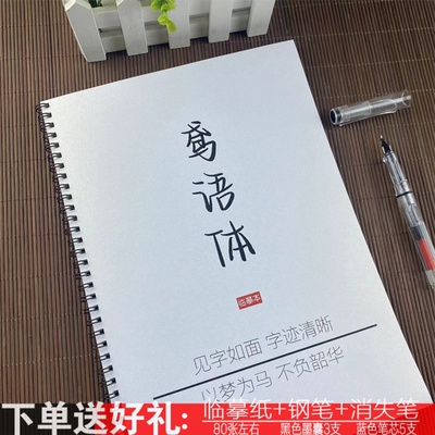 鸢语体女生手写漂亮练字帖央视文案励志语录动漫金句钢笔临摹练字