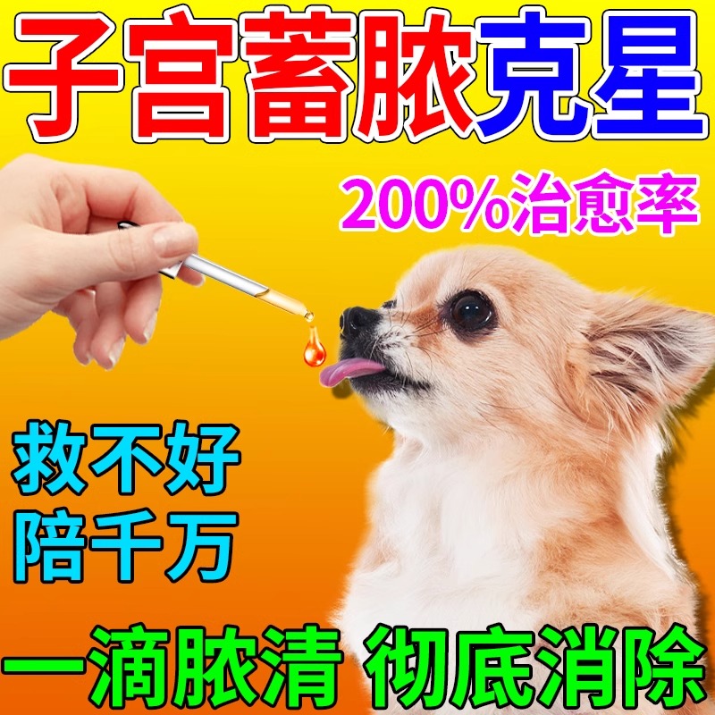 益母归牛肉锭狗狗子宫蓄