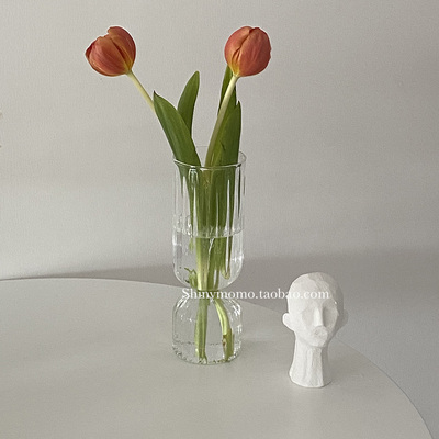 郁金香花瓶韩式博主客厅