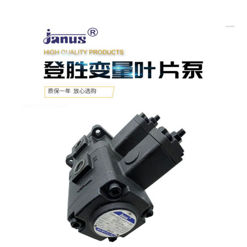 登胜JANUS双联变量泵VP-20-20 15-15 30-30 40-40-FA3/2/A1叶片泵