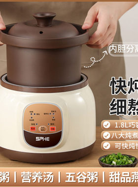 德国紫砂电炖锅煲汤熬煮