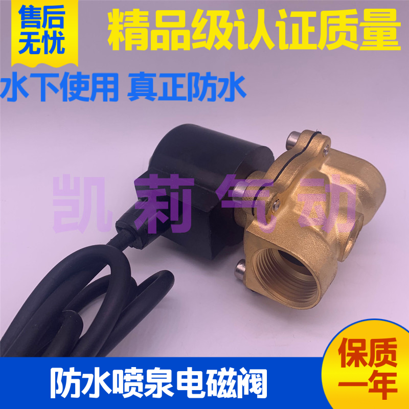 水下喷泉防水气动电磁阀地埋式 电磁控制阀AC220V 开关水阀 DC24V