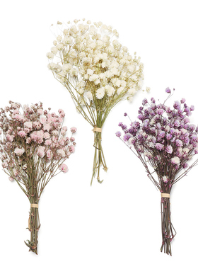 Mini Decorative Dried Flowers Babysbreath Flowers Bouquet Na