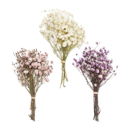 Mini Decorative Dried Flowers Babysbreath Flowers Bouquet Na