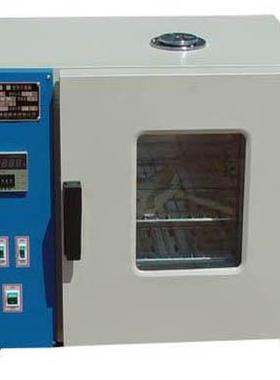 FX101-2 电热鼓风干燥箱 山东地区鼓风干燥箱 电热烘箱