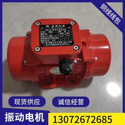 MVE200/3振动源三项异步电动机0.09KW料仓震动器0.17KW搅拌机马达