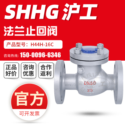 上海沪工良铸钢卧式止逆